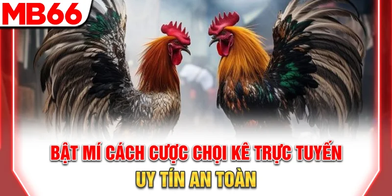 Hướng Dẫn Đá Gà Philippines: Luật Chơi Và Kinh Nghiệm 10 Bật mí cách cược chọi kê trực tuyến uy tín, an toàn